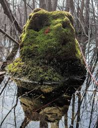 Morla The Ancient One First Post Love The Content Here Miniworlds