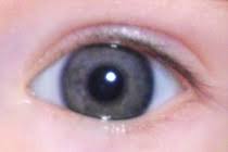 Die wahrscheinlichkeit, dass das baby blaue augen bekommt, ist sehr hoch. Babyaugen Ab Wann Verandert Sich Die Augenfarbe Rundumskinderzimmer De