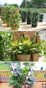 5 Vertical Vegetable Garden Ideas For Beginners Vertical Vegetable Gardens Vertical Vegetable Garden Small Vegetable Gardens