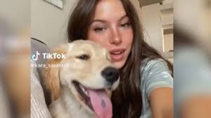 Plötzlich kam ihr ein Geisterfahrer entgegen: TikTok-Star (18) stirbt bei  tragischem Autounfall