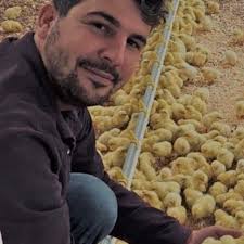 Why is my rate of ADF greater than the rate of NDF in some dry roughage  especially sunflower heads and tree's leaf?