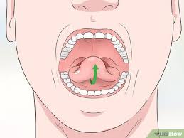 الإنسان الزوهري الزهري الزوهري زوهري اليد زوهري اللسان. ÙƒÙŠÙÙŠØ© Ø¥Ø·Ø§Ù„Ø© Ø§Ù„Ù„Ø³Ø§Ù† 8 Ø®Ø·ÙˆØ§Øª ØµÙˆØ± ØªÙˆØ¶ÙŠØ­ÙŠØ© Wikihow