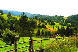 Localități din bucovina, muzee din bucovina no comments. Èase Sate De Poveste Din Bucovina Pe Care Trebuie SÄ Le Vizitezi Anul Acesta