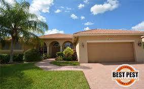 We offer excellent customer service and deliver responsible exterminator services that are safe for both humans and pets. Affordable Pest Control Services Best Pest Control Services In Miami Best Pest Professionals