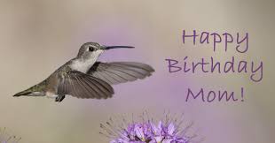 Download in under 30 seconds. Happy Birthday Mom On The Wing Photography