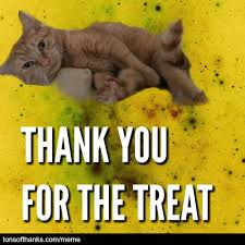 51 Nice Thank You Memes With Cats Thank You Memes Cat Memes Cats