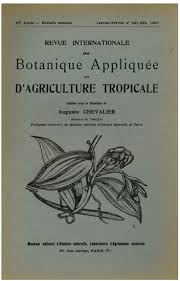 Image result for Afrostyrax kamerunensis