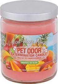 Use as directed in your car, on your sofa, or anywhere you smoke or have unwanted odors. Specialty Pet Products Pet Odor Exterminator Candle Caramel Vanilla Latte Pack Of 2 Pricepulse