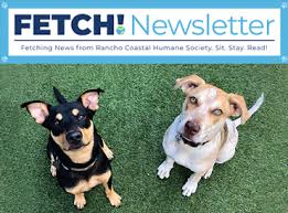 To adopt an animal from us please review the information below: Rancho Coastal Humane Society Dedicated To The Rescue And Shelter Of Abandoned Companion Animals Encouraging Adoptions Into Loving Homes And Promoting Humane Ideals Through Education And Community Outreach