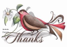 images?q=tbn:ANd9GcRP1C6tPb0no327YAin-ECDAzFxjtsdd4maR4AgyXtXbv0R55XwXw