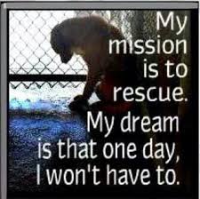 Beautiful Quote From Tia Torres From Villalobos Rescue Center And Pit Bulls And Parolees A Personal Hero O Rescue Quotes Villalobos Rescue Center Rescue Dogs