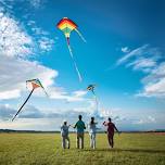 Kite Flying at the Beach