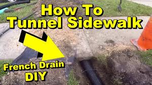 Malone said the original data packages contained this biodistribution information. How To Tunnel A Sidewalk French Drain Pipe Under Walk With Pop Up Emmiter Youtube