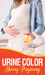 The other checks the urine for the hcg hormone. Pin On ìž„ì‹ ì¶œì‚°