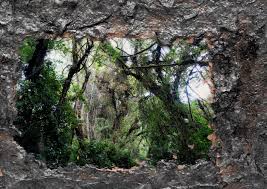 Bildergebnis für Roman Schramm