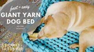 The best waterproof dog beds for incontinent dogs and puppies will protect the inside of the bed from mess and accidents. How To Knit A Giant Yarn Dog Bed Machine Washable Youtube