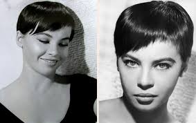 Q's Daydream: Leslie Caron's Pixie