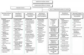 Organisational Structure Ups