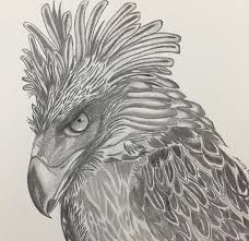 Also dove clipart ibon available at png transparent variant. Haring Ibon King Of Birds Or Better Known As The Philippine Eagle Photo Source Dariel Quioge Philippine Eagle Lion Sculpture Painting Drawing
