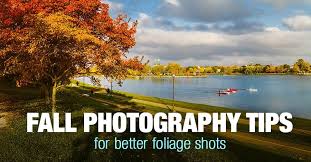 Check out our fall pictures selection for the very best in unique or custom, handmade pieces from our wall hangings shops. 12 Fall Photography Ideas And Tips For Better Foliage Photos Phototraces