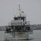Pelagic Trip out of Dana Pt ($) event image