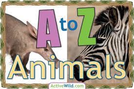 A To Z Animals List For Kids With Pictures Facts Animal A Z Information List Of Animals Youtube Animals Zoo Pictures