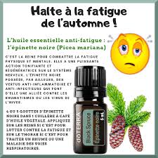 Halte Fatigue Automnale Doterra Shampoo Bottle Bottle