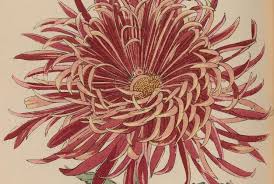 Join millions of people looking to find tattoo inspiration, discover artists and studios, and easily book tattoo appointments. These Talented Artists Will Inspire You To Get A Botanical Tattoo Sunset Sunset Magazine