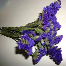 This compact variety is suitable for small spaces, edging, and containers. Find More Small Bunch Of Purple Dried Flowers For Sale At Up To 90 Off