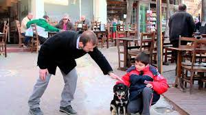 kopek korkusu nasil yenilir youtube