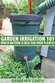 Garden Irrigation 101 Ollas Soaker Hoses Other Methods Gardener S Path Garden Irrigation Irrigation Drip Irrigation