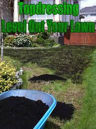 Topdressing Level Out Your Lawn Reseeding Lawn Diy Lawn Lawn And Landscape