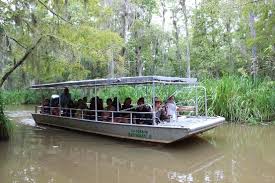 New Orleans Swamp Tour The Boats That Cajun Encounters Use For Their Swamp Tours Are Gratifyingly Sturdy But Shallo New Orleans Swamp Tour Swamp Tours Boat