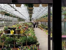 A greenhouse (also called a glasshouse, or, if with sufficient heating, a hothouse) is a structure with walls and roof made chiefly of transparent material, such as glass, in which plants requiring regulated climatic conditions are grown. Honeymoon Acres We D Like To Thank Everyone Who Came Out Facebook