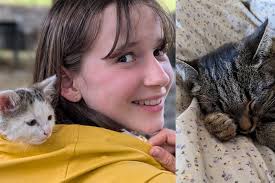 Dusty ist Osttirols „Next Top-Katze“