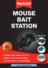 Sanitation will help eliminate the food and water sources rats are using to survive while you can use rat bait poison indoors, we strongly urge you not to do so. Diy Mouse Products Rentokil