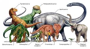 Dinosaur Vs Human Vs Elephant Kidspressmagazine Com