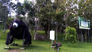 Beruang hitam vs beruang matahari. Patung Beruang Madu Siap Menyambut Anda Picture Of Sun Bear Education And Conservation Center Balikpapan Tripadvisor