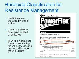 How Herbicides Work In Plants Herbicide Symptomology Ppt