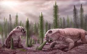 Maybe you would like to learn more about one of these? Evolution The Beneficiaries Of Mass Extinction