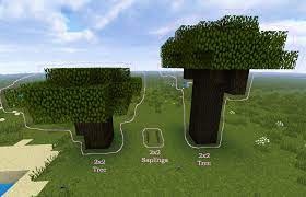 Their trunks also grow in a 2x2 pattern, so if you want to harvest lots of wood blocks, this is an ideal tree to plant. A Version Of A Dark Oak Tree Using Only One Sapling Should Be Added Minecraftsuggestions