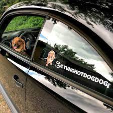 I highly recommend this product and seller. Custom Instagram Decal Wagslaps