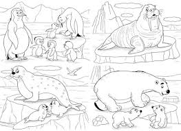 Parents may receive compensation when you click through and purchase from links contained on this website. Set Of Cute Arctic Animals Coloring Page Penguins Walrus White Bears Seals Stock Illustration Adobe Stock