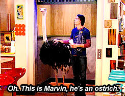 Marvin has not made another appearance since. Learning To Be Joyful Everyday If Tumblr Was A Man He Would Be Jerry Trainor