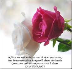 La mulţi ani! „lăsaţi o parte din lumina artificiilor aprinse în noaptea anului nou să vă lumineze. La Multi Ani Binecuvantati Resurse CreÈtine