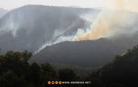 More than ten cities are blown up with blazes. The Fighting Of The Pkk And Turkey Causes The Burning Of More Than 5 Thousand Dunums Of Duhok Forests Ark News