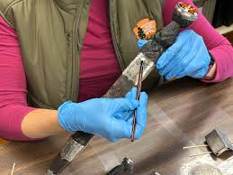 Historic Object Conservation at Fort Vancouver National Historic Site (U.S.  National Park Service)