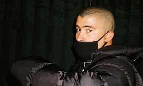 I don't love my mom or my dad, just the bunny. Bad Bunny Releases New Visuals For Single Vete