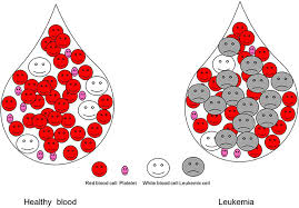 Erin moran died after a squamous cell carcinoma diagnosis in late 2016. Imatinib The Magic Bullet For Treatment Of Blood Cancer Frontiers For Young Minds