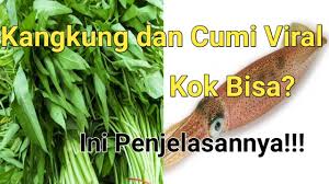 Banyak netizen yang langsung kapok sampai tak mau lagi makan cumi karena hal ini. Ada Apa Dengan Cumi Cumi Dan Kangkung Yang Viral 2021 Vid Trending